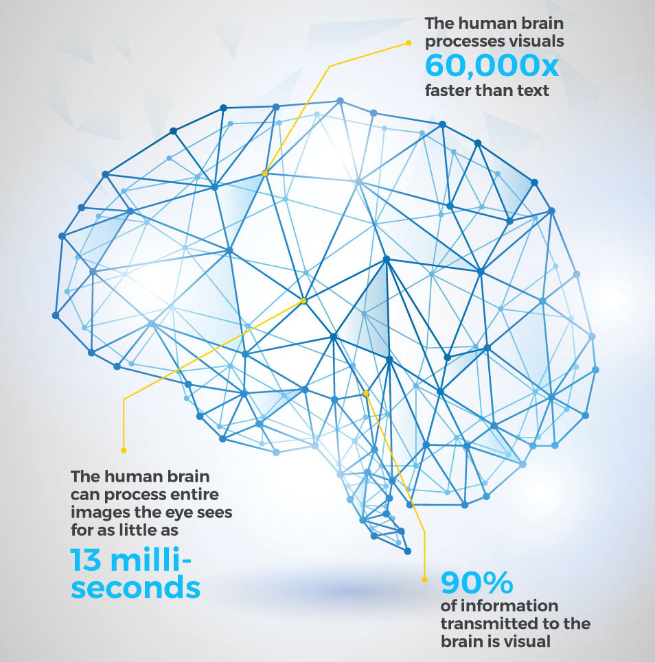 Human brain processes images faster