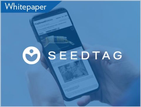 Whitepaper: Use In-Image ads to get the most out of digital content