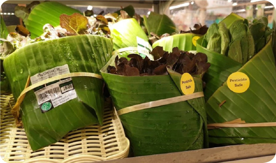 Banana leaves