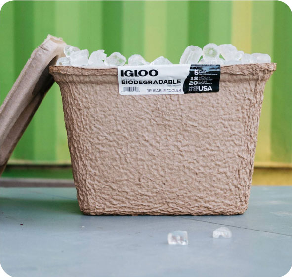 biodegradable igloo