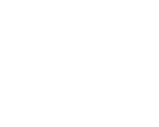 SAN logo