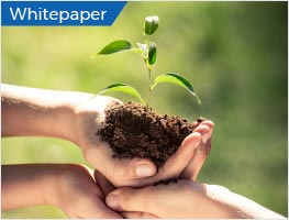 Whitepaper: It is not easy being green